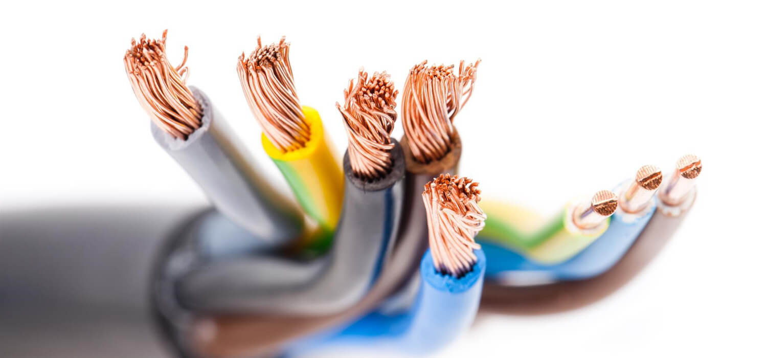 Domestic Electricians